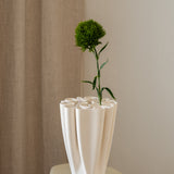 Dianthus Flower ("Green Trick") Green