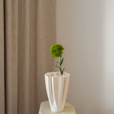 Dianthus Flower ("Green Trick") Light Green