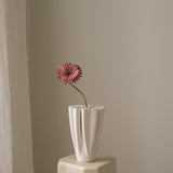 Gerbera Pink