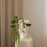 Hanging Berry Branch