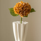 Hydrangea Light Orange