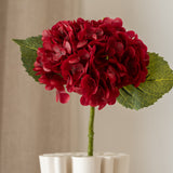 Hydrangea Flower Red
