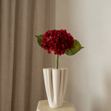 Hydrangea Flower Red