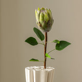 King Protea Green