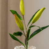 Lily Bud