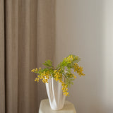 Mimosa Branch