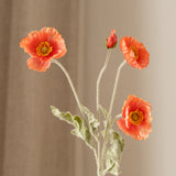 Poppy Flower Coral
