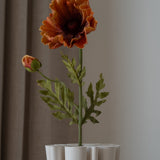 Poppy Flower Big Orange