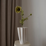 Poppy Flower Medium Green