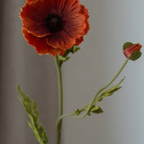 Poppy Flower Medium Orange