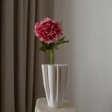 Peony Flower Pink