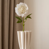 Peony Flower White