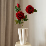 Peony Flower Red