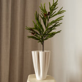 Pine Needle Tree Branch