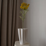 Queen Anne's Lace Flower Yellow