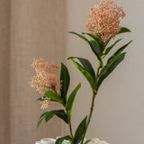 Skimmia Berry Branch Pink