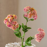 Sedum Spray Pink