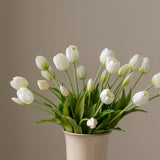 Tulip Bouquet White